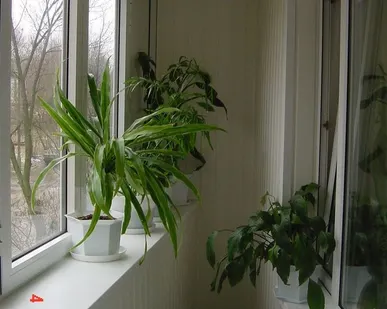 фото Балкон внутренняя обшивка