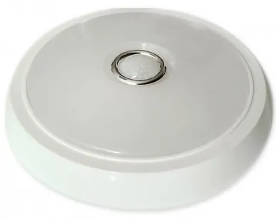 фото Светильник светодиодный интеллектуальный SW-204-4W PIR
