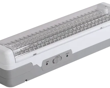 фото Светильник ДБА 3928 аккумулятор, 4ч, 100LED, IEK