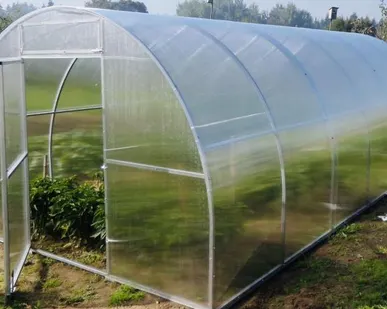 фото Теплицы с поликарбонатом УФ защитой и доставкой