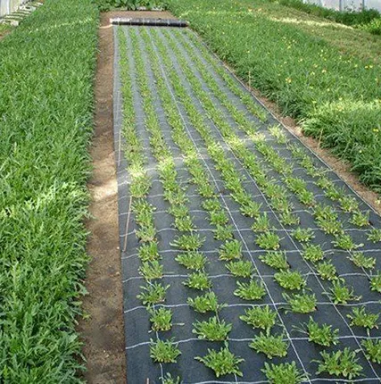 Фото №0 Геотекстиль 60 мкм ( 25м *1,6 м) - 40 м2