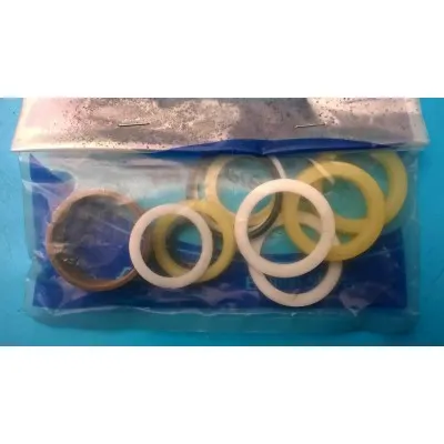 Фото №0 Ремкомплект цилиндра выдвижения заднего аутригера КМУ Soosan SCS746L