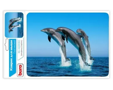 фото Коврик Buro BU-M40083 817312