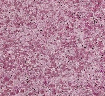 фото Жидкие обои SILK PLASTER САУФ 948