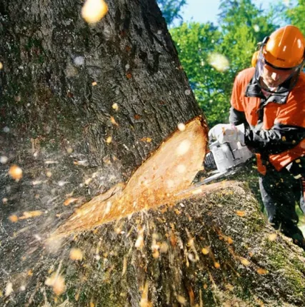 Фото №0 Спил аварийных деревьев