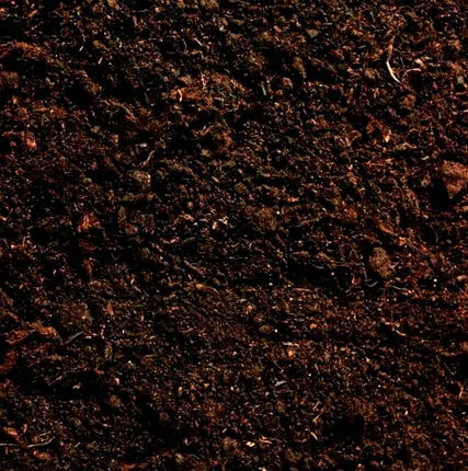 Фото №3 Перегной