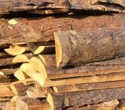 Фото №0 Горбыль строевой