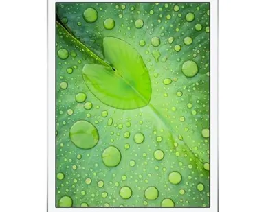 фото Планшет Apple iPad mini 2 64Gb