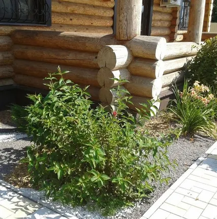 Фото №0 Устройство цветника