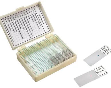 фото Набор препаратов «Общая биология» 14 образцов