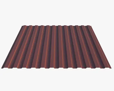 фото Профнастил Н10.40 0.47-0.50 мм RAL 3009, Коррида