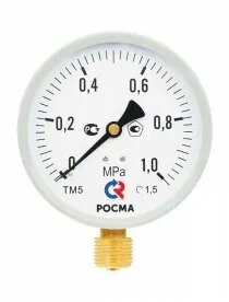Фото №0 Манометр ЭКОНОМ ТМ-510Р.00 н. подк1/2 (0-1,6 MPa)