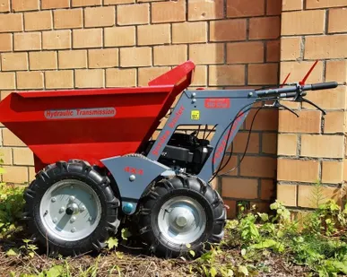 фото Мини-думпер ANT BY-300