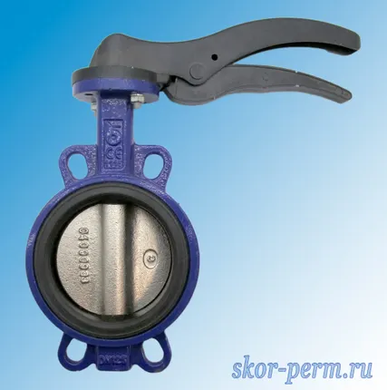 Фото №0 Затвор дисковый поворотный Ду125 BRANDONI (Италия)