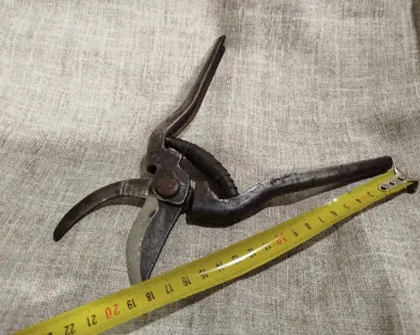 фото Секатор СССР. 1957 г