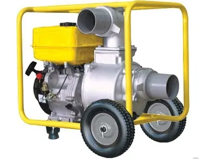 фото Мотопомпа CHAMPION GP100E