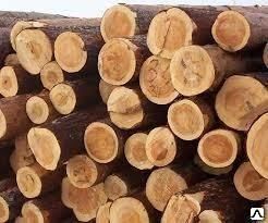 фото Бревно (Wholesale timber 200х200 of oak, length from 2 to 6 meters)
в