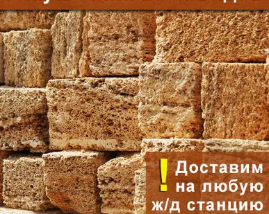 фото Ракушечник
