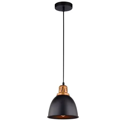 Фото №0 Подвесной светильник Arte Lamp EURICA A4245SP-1BK