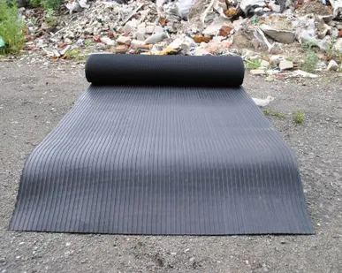 фото Дорожка автобусная рифленая