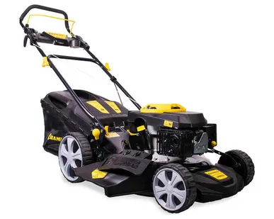 фото Бензиновая газонокосилка CHAMPION LM4622