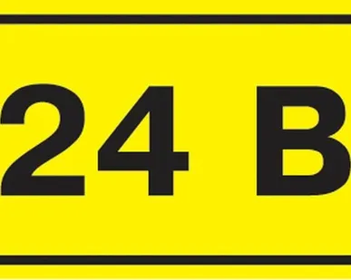 фото Этикетка самоклеящаяся 40х20 мм, символ "24В" YPC10-...