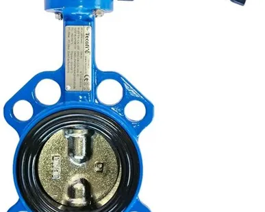 фото Затвор поворотный Tecofi DN50 ковкий чугун PN16 - VPI, VPI4448-02EP0050