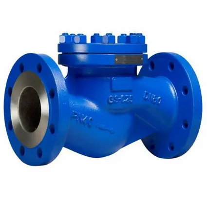 Фото №0 Клапан обратный RD50F