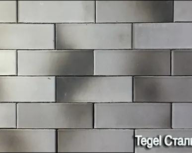 фото Кирпич КР-КСД-пу Tegel Стальной Флеш 1НФ М150