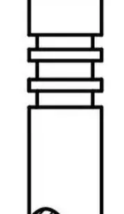 фото AE Клапан впускной