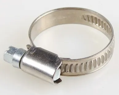 фото Хомут 16-25 мм (нержавеющая сталь) (Хомут 20-32 мм (нержавеющая сталь))