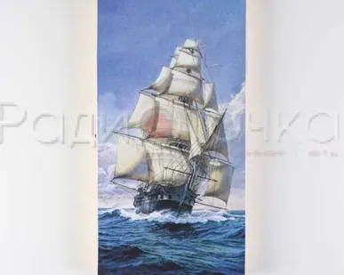 фото Нарды "Парусник", деревянная доска 40 х 40 см, с полем для игры в шашки