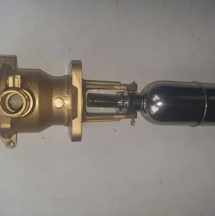 Фото №0 Датчик уровня S01D, S01D/F83, S01DB/F84 Реле уровня S195D-F83, S195DB/F84