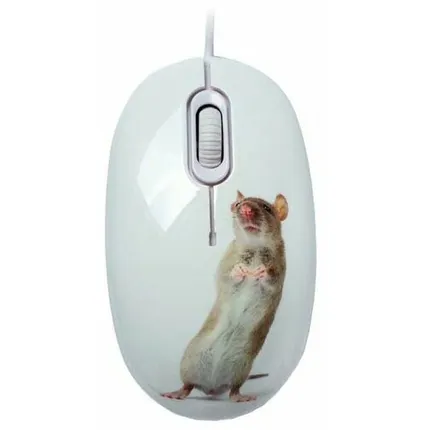 Фото №0 Мышь CBR Capture White USB