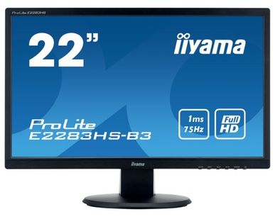 фото Монитор Iiyama ProLite E2283HS-B3