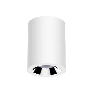 фото Светильник LED «ВАРТОН» DL-02 Tube накладной 220*150 55W 4000K 35°