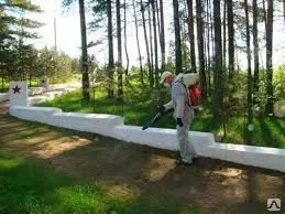 фото Дезинсекция парков