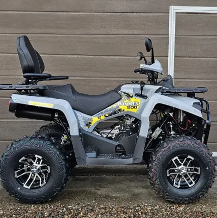 Фото №4 Квадроцикл Mikilon Hammer 200L Pro Long «Серый»