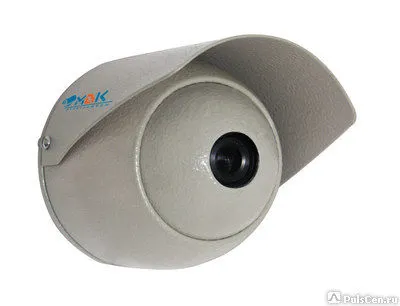 Фото №0 Антивандальная камера МВК-0931Ц С