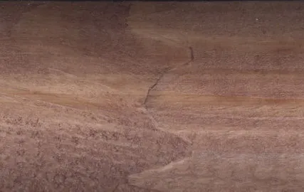 Фото №0 Пропитка-антисептик "Сопласт" тонирующая (палисандр), 1л