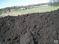 фото Грунт