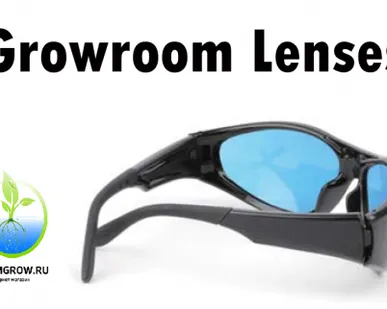 фото Очкки защитные T-REX