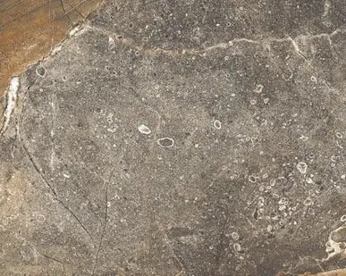 фото Керамический гранит KERRANOVA Genesis 600x300 K-108/SR