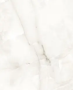 фото 32805 Керамогранит 60х120 Evolution ceramic Florida Onyx Silver