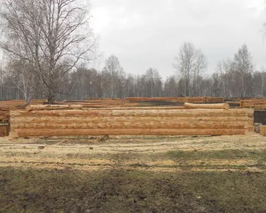 фото Срубы из сосны