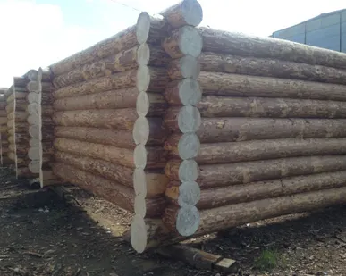 фото Срубы домов и бань