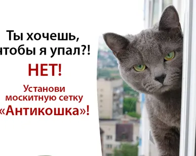 фото Москитная сетка Антикошка