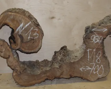 фото Поперечные спилы карагач, влажность 6-8%, ТОЛЩИНА 15-18 см!!!