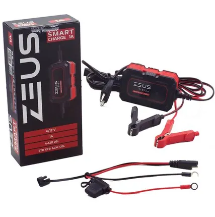 Фото №0 Зарядное устройство ZEUS SMART CHARGE 1А