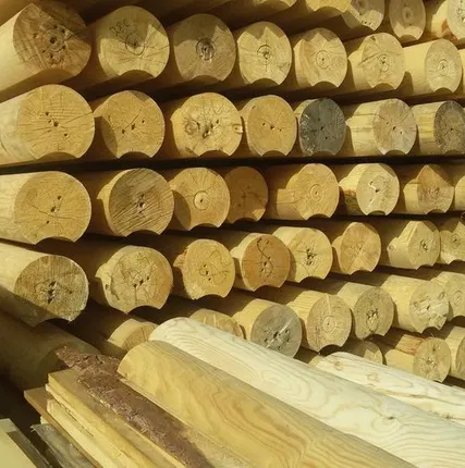 Фото №0 Бревна оцилиндрованные